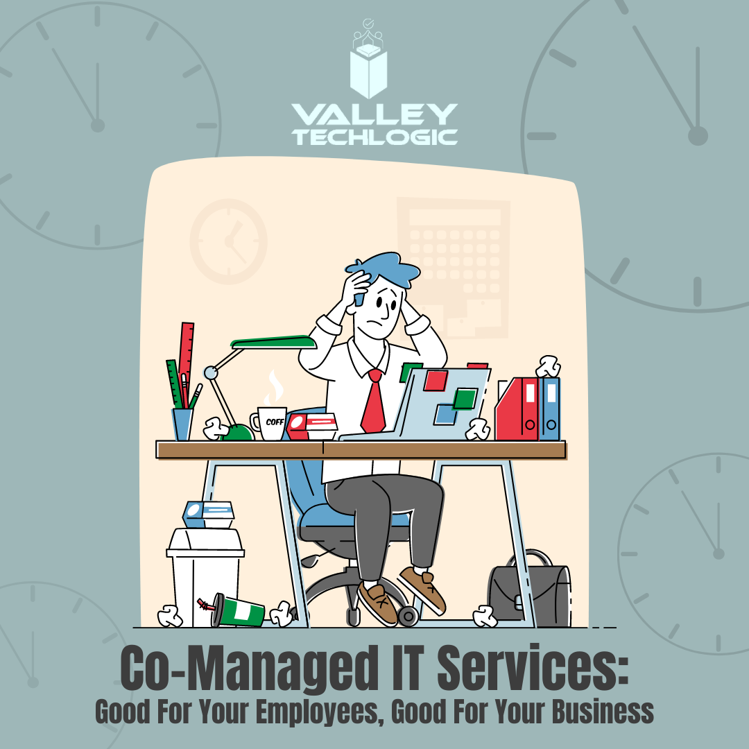 Co Managed IT Services
