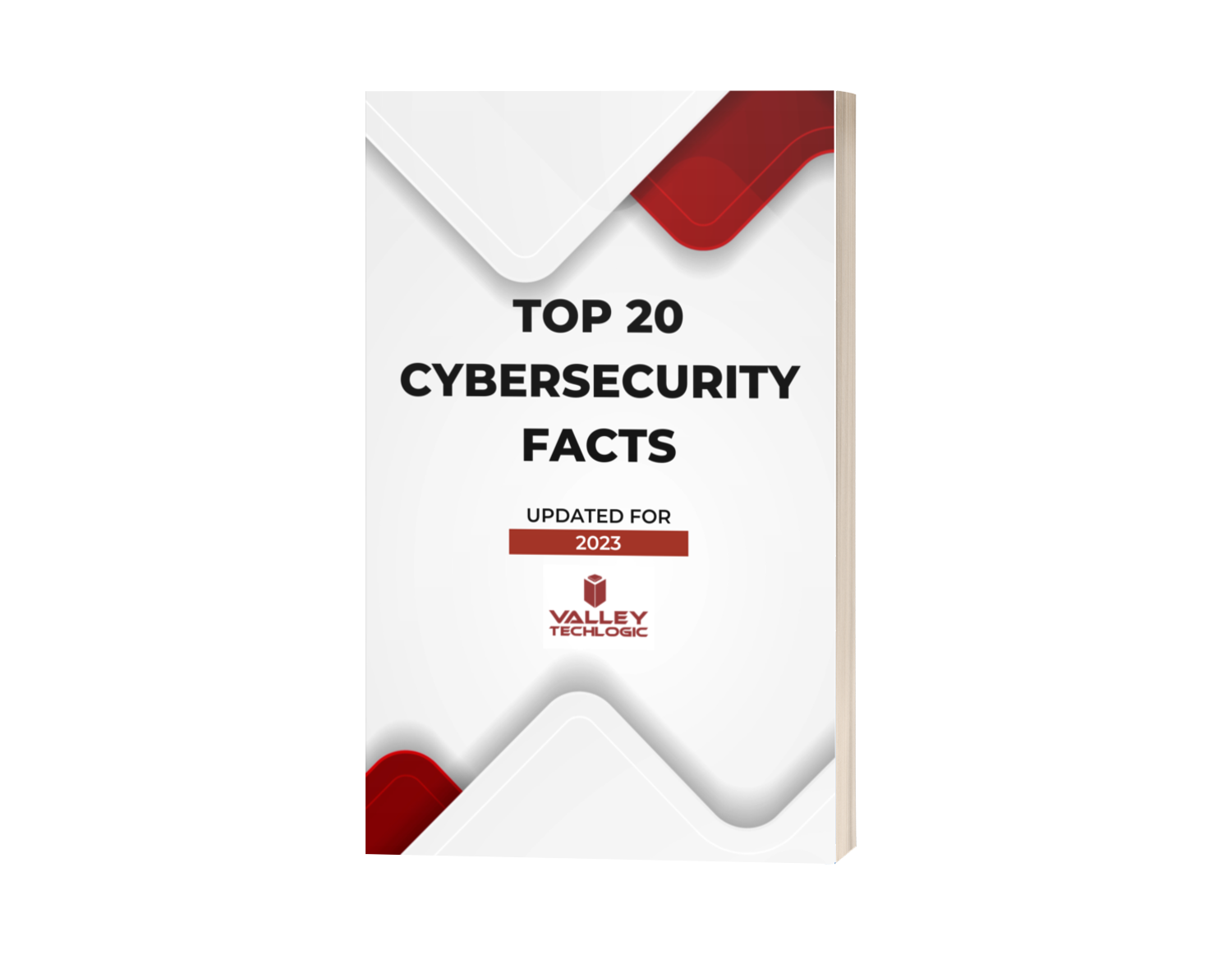 Cyber Security Facts PDF (2020)